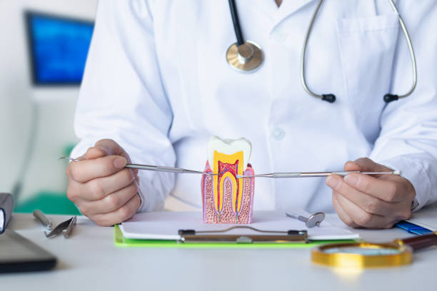 Best Urgent Dental Care in Konterra, MD